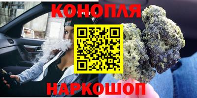 крисы Гай