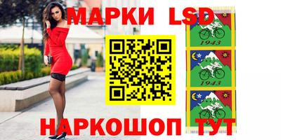 спайс Гатчина