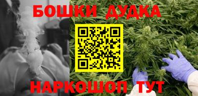 крисы Гай