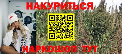 крисы Гай