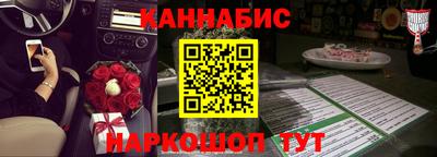 крисы Гай