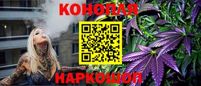 крисы Гай