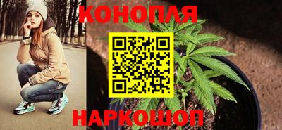 крисы Гай