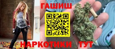 крисы Гай