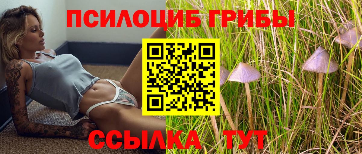 наркошоп  Галлюциногенные грибы мицелий  Вход с VPN  Белореченск 